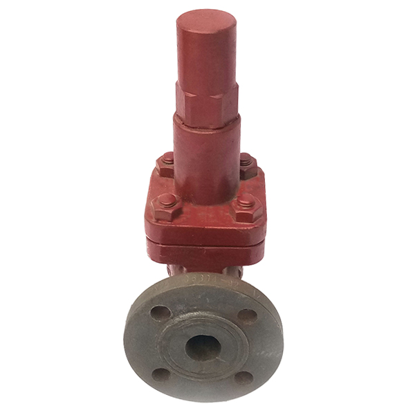 CB304 Cast Iron Safety Valve